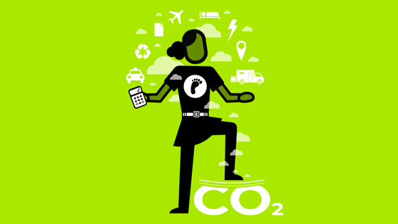 Sustainability coordinator